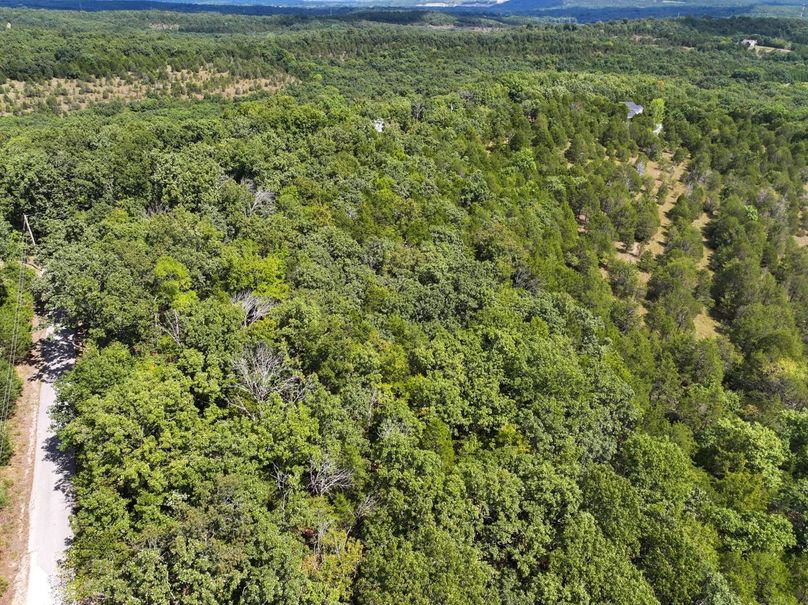 DJI_20250903120725_0552_D Large