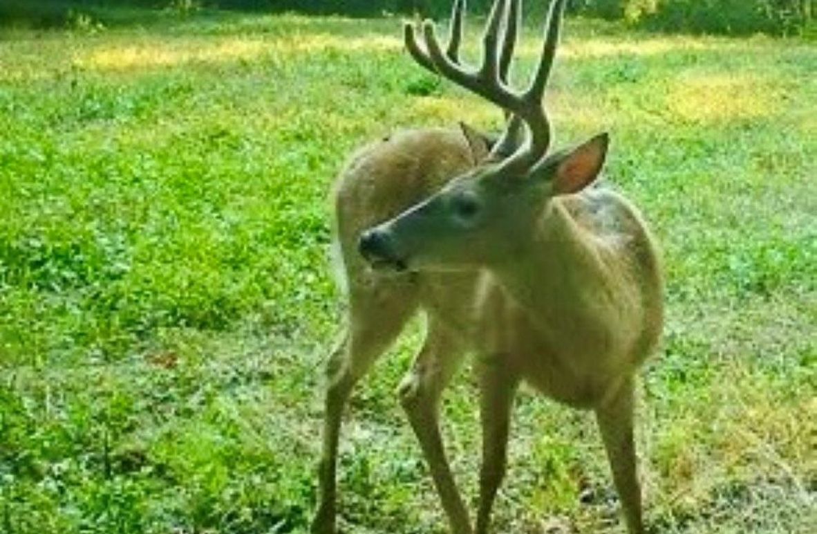 03A0E022-C8B4-486C-9CBC-3494C6059EEF_4_5005_c