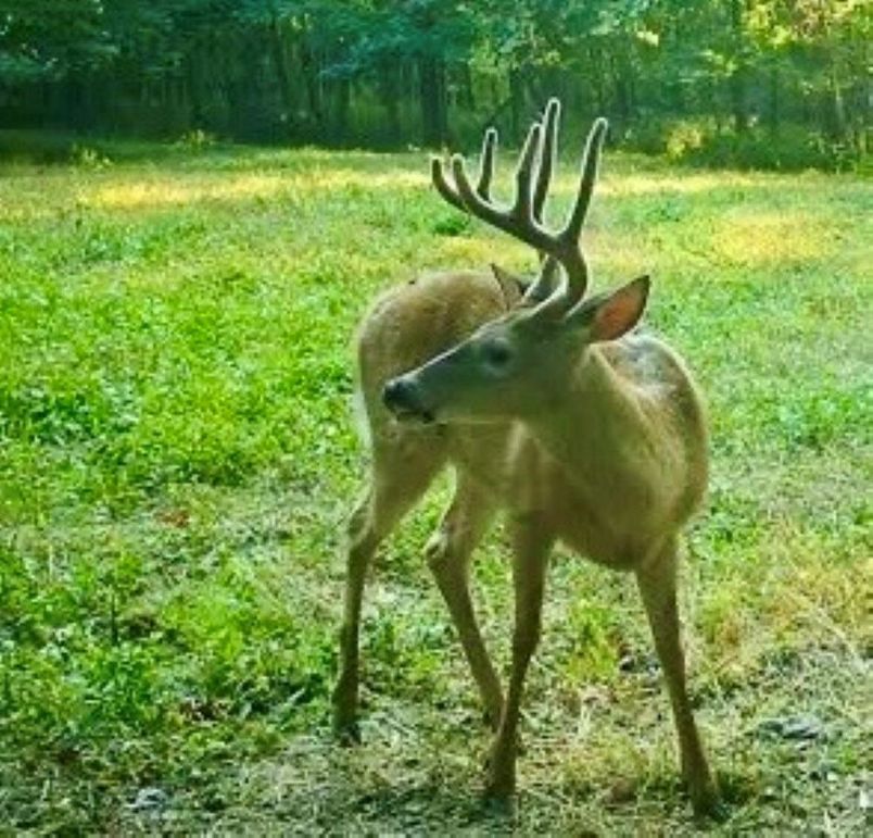 03A0E022-C8B4-486C-9CBC-3494C6059EEF_4_5005_c