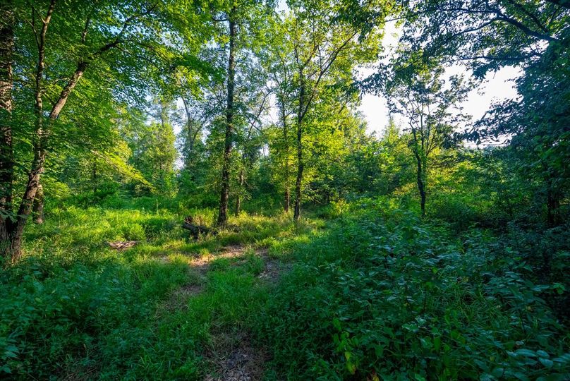 Copy of DSC06251 Large