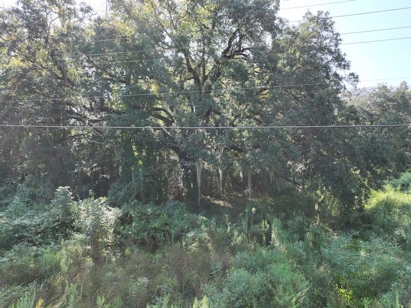 dji_fly_20250910_095936_0447_1757523433133_photo