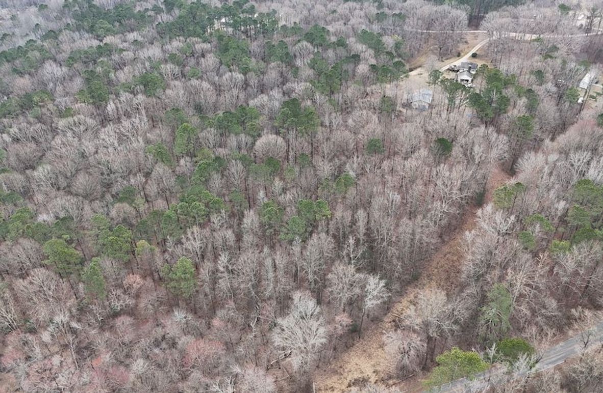 dji_fly_20260225_112924_0115_1772037655374_photo