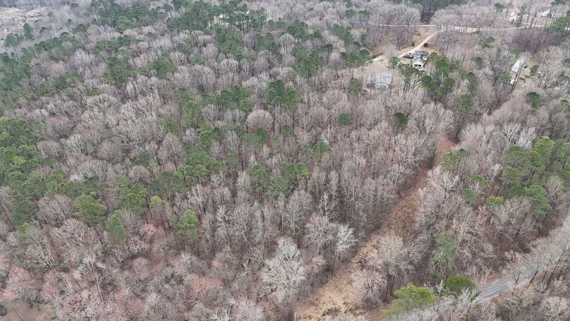 dji_fly_20260225_112924_0115_1772037655374_photo