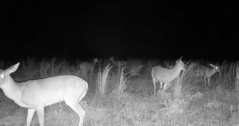 25033100482601002803_4