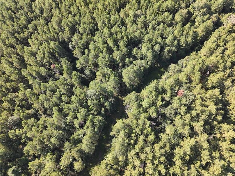 dji_fly_20250908_094320_0427_1757354099302_photo