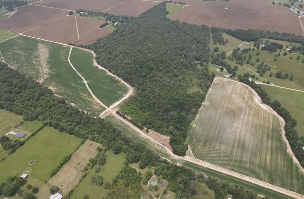 dji_fly_20240802_131542_232_1722622553727_photo