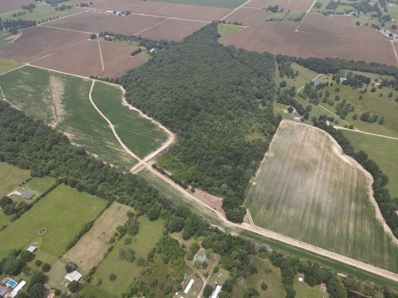 dji_fly_20240802_131542_232_1722622553727_photo