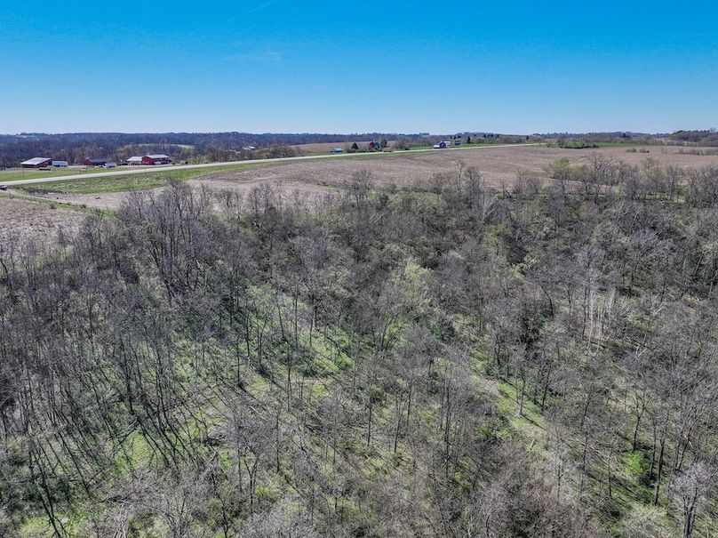 Strawberry Point- WTP-30