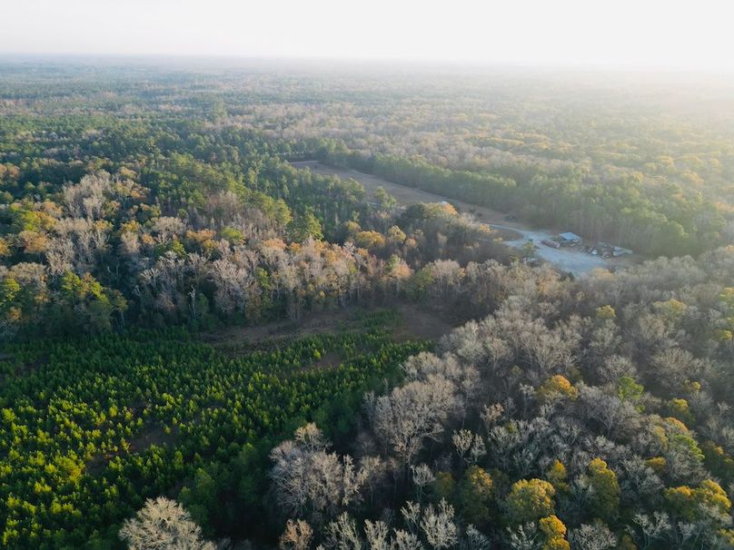 dji_fly_20251204_192736_22_1766581536809_photo