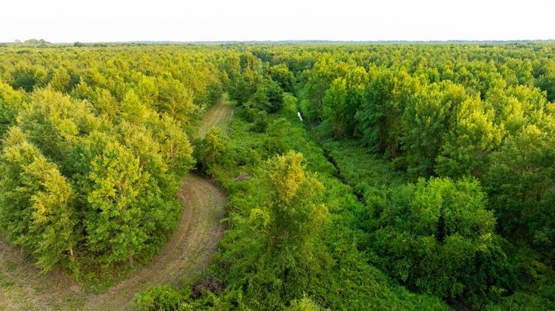 MadisonParLa1372-059