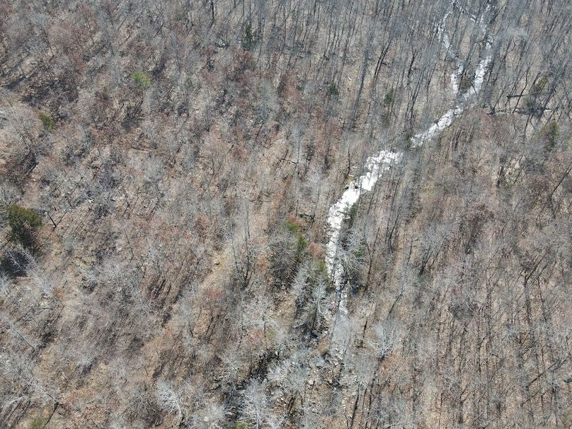 dji_fly_20250213_114908_977_1739468979627_photo