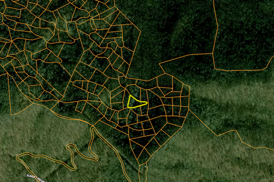 Screenshot 2025-03-19 at 10.54.17 AM