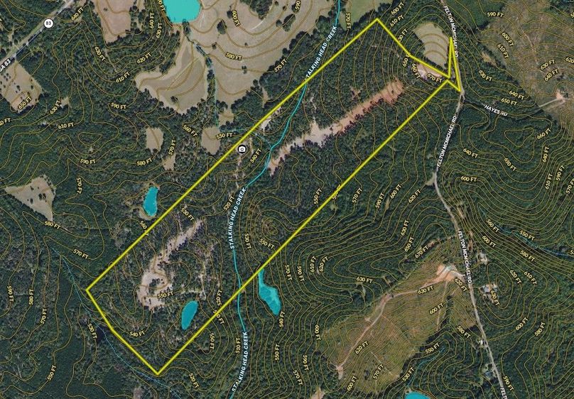 Jasper 172 acres map1