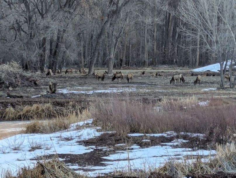 PXL_20240214_000832112 (1)