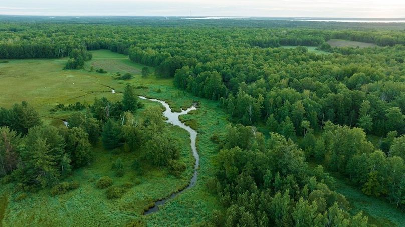 Cass MN 1095 Featured ProPhoto-56