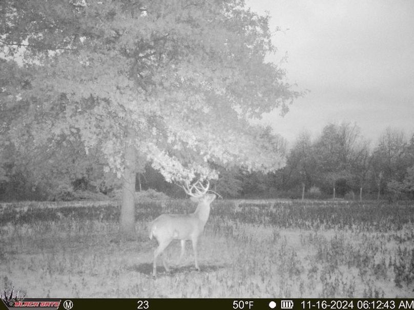 thumb-b28dd2a6d93bcaec2defaddfa06a2cf2cc3e35a1 (1)