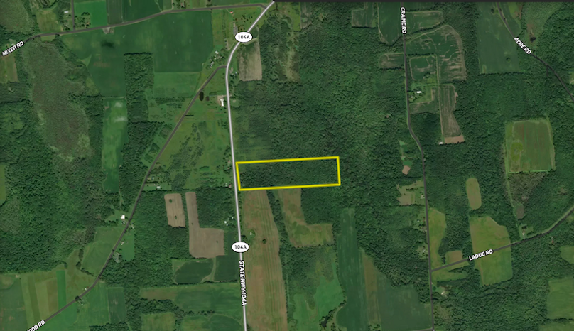 Wayne_29.09_BD_LandNorth_Landid_S_Parcel_6