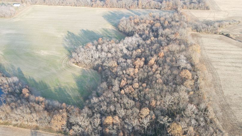 dji_fly_20231204_151752_899_1701724707924_photo