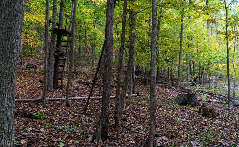 Chemung_29.5_Frantellizzi_Photo_40