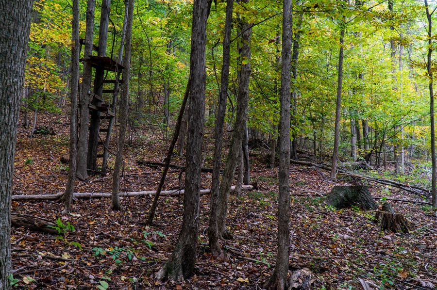 Chemung_29.5_Frantellizzi_Photo_40