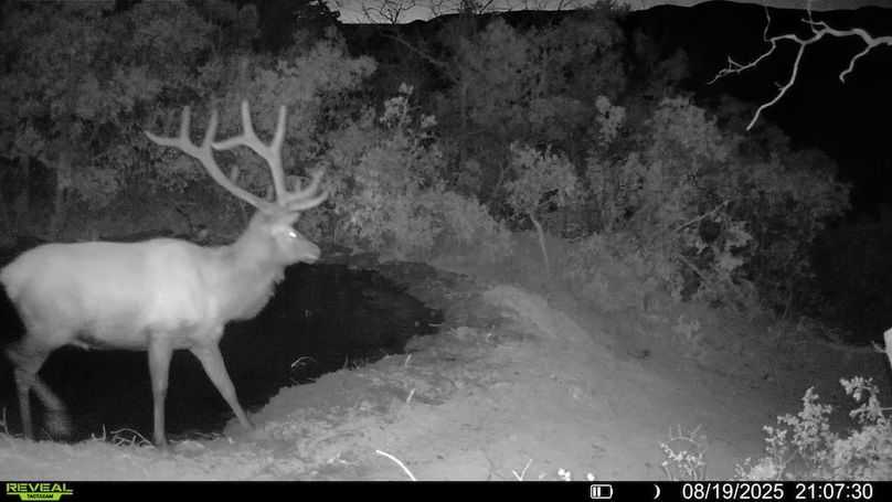 016578004083249-37-3-08192025210730-V-SYFW00060