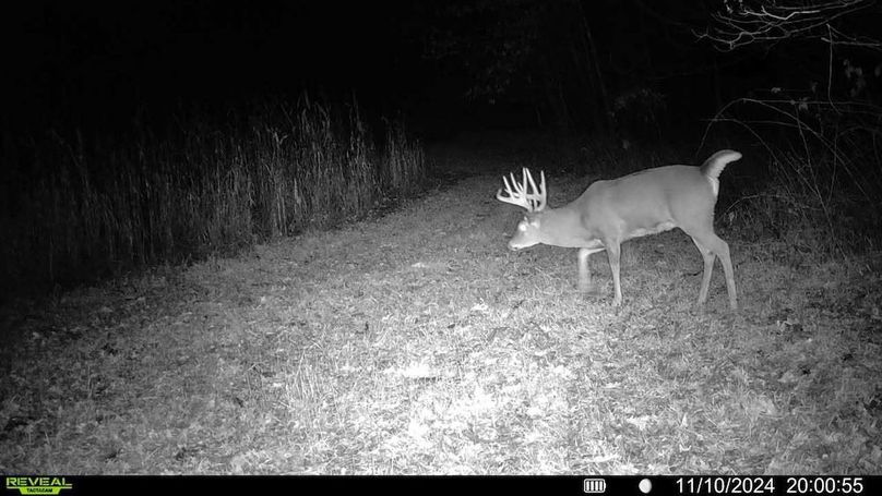Sauk 174 Trailcam - 1