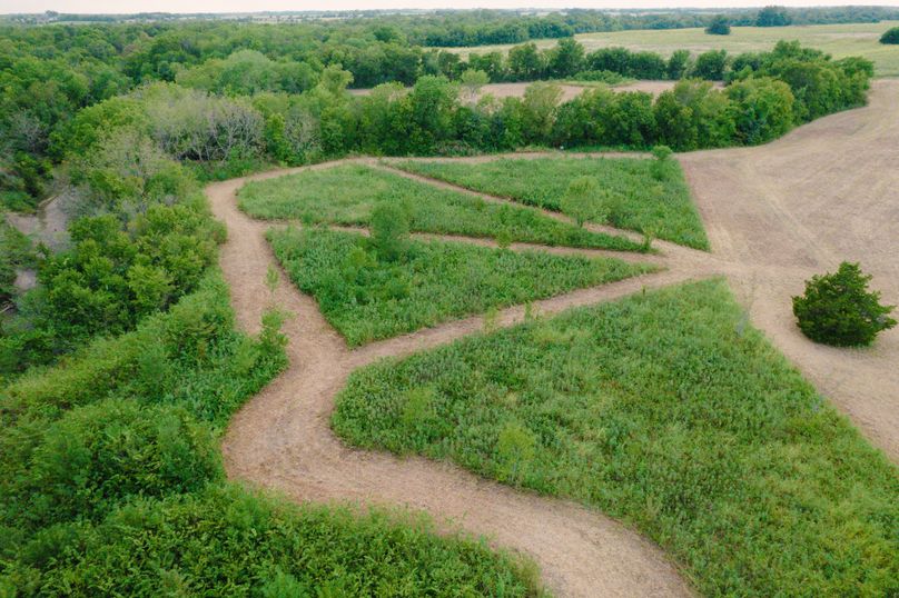 Fannin 37 Acres-24