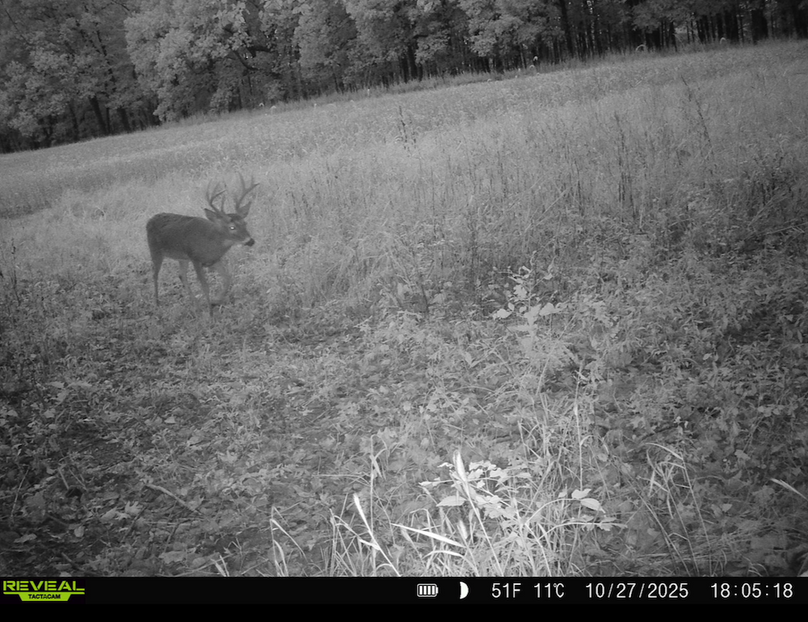 Screenshot 2026-04-09 at 12.51.27 PM