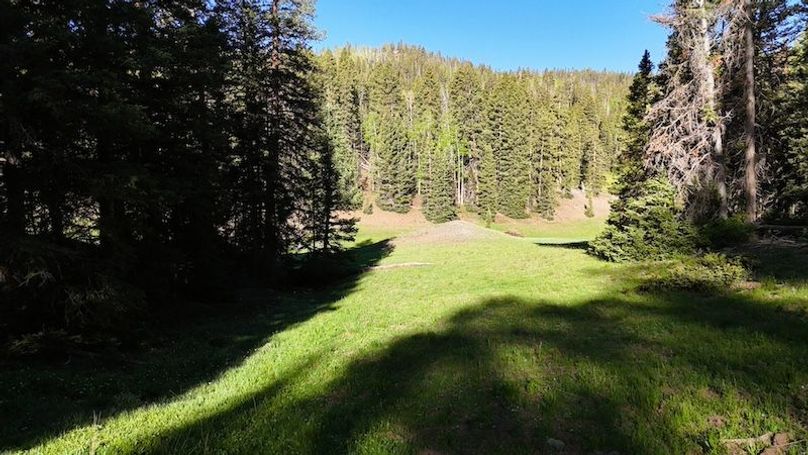 DJI_20250614082217_0157_D
