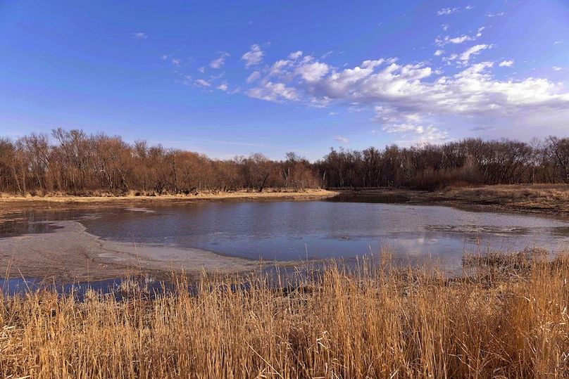 19 Platte 225 Tract 1