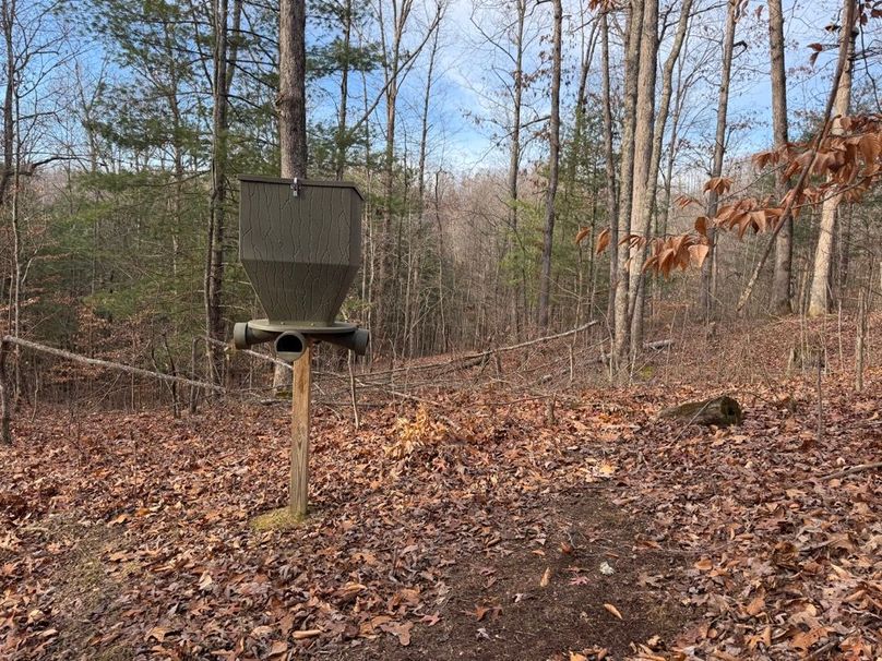 018 one of the feeders in the middle of the property