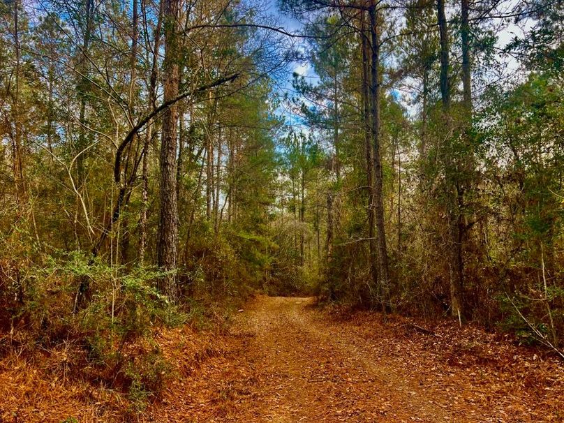 3E7AD9E2-D6AD-4D7D-88FE-295883E84A1C_1_201_a