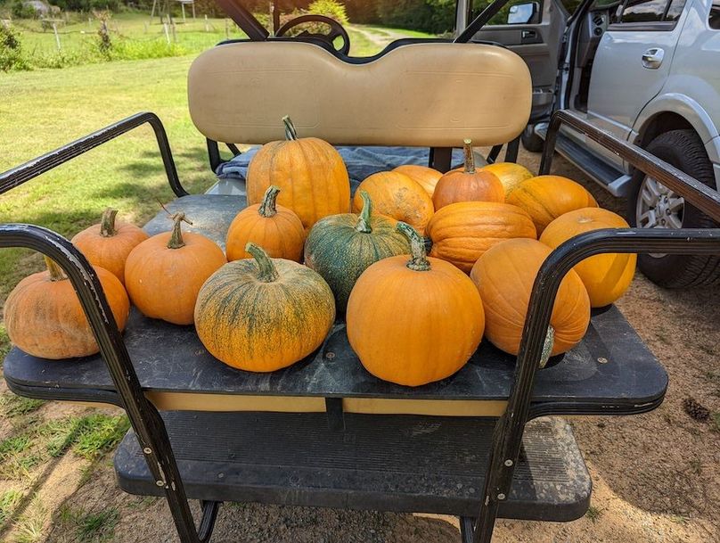 PXL_20220808_180126274