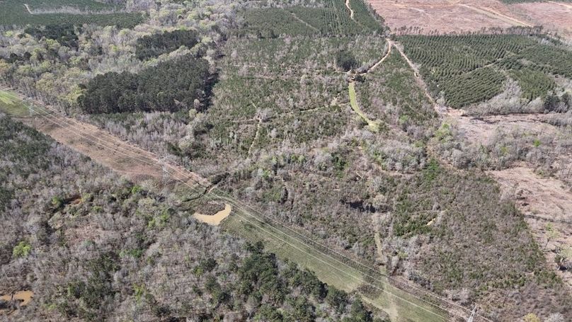 Copy of DJI_20260314020957_0122_D