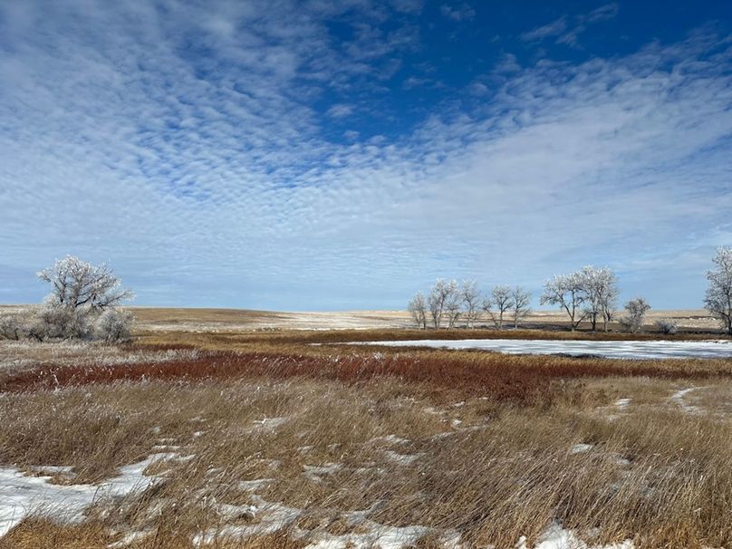 0611D00A-BCEE-4535-8E13-028D042413CB_1_105_c