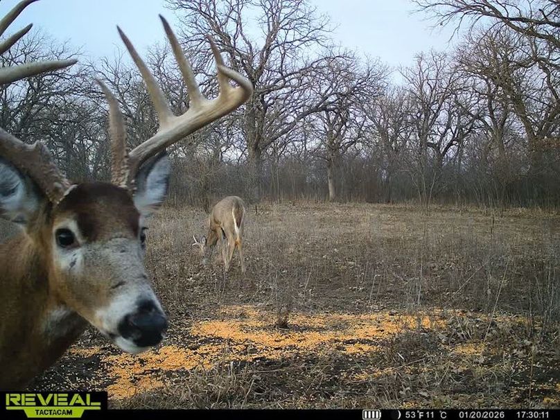 860322064077966-100-3-01202026173029-V-W1012141