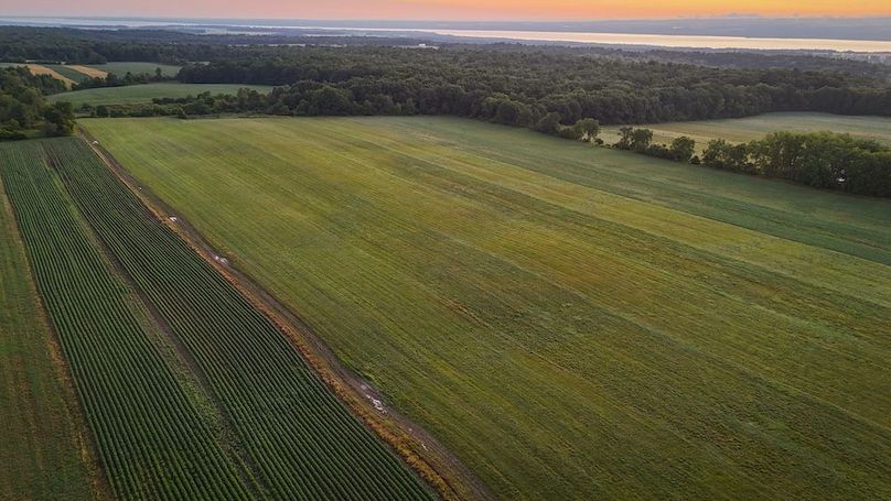 Copy of Wood Tract 3 Photo 2