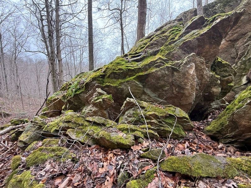 014 some large crumbled rubble with fresh moss