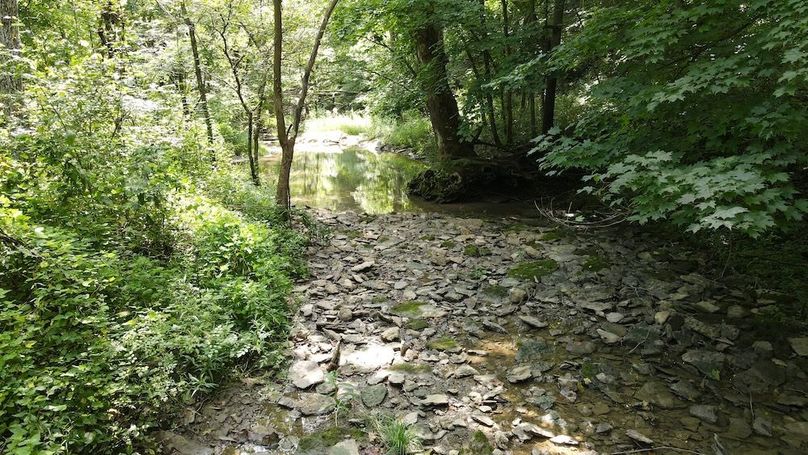 20250815_121422_48_1755274476334_photo