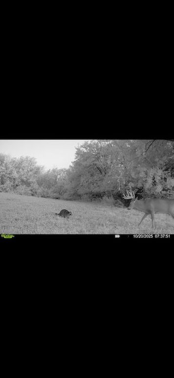 Screenshot 2026-02-27 at 4.09.09 PM