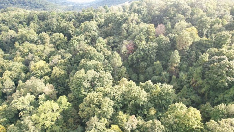 dji_fly_20240909_165548_634_1725915502031_photo(1)