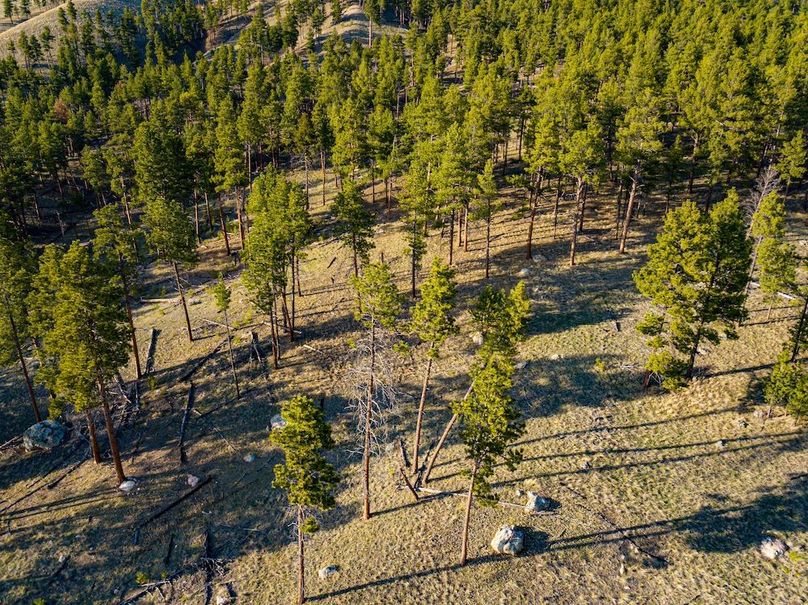 20250430-DJI_0023