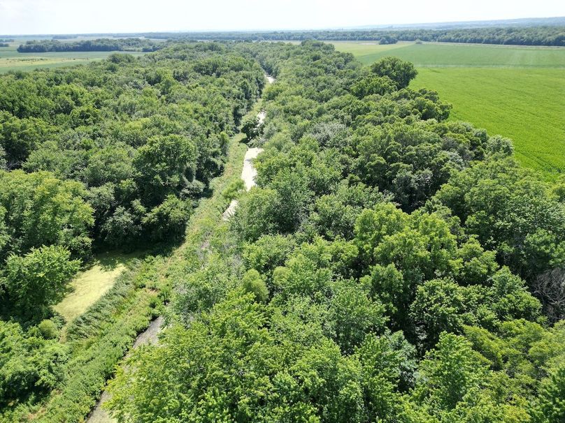 DJI_0374