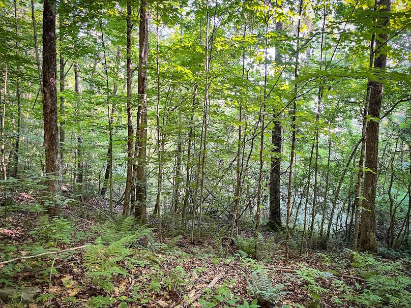 Tioga_82.5_Williams_Photos_19