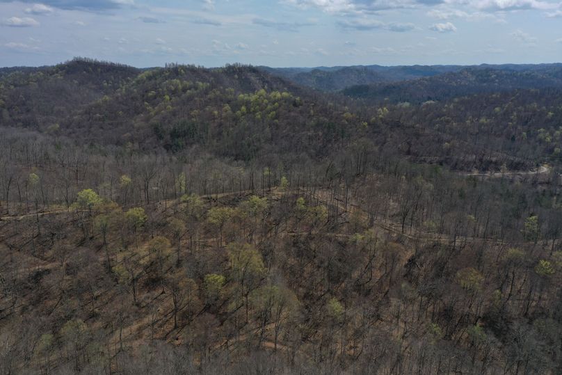 017 aerial drone shot of the west facing slope near the middle of the property