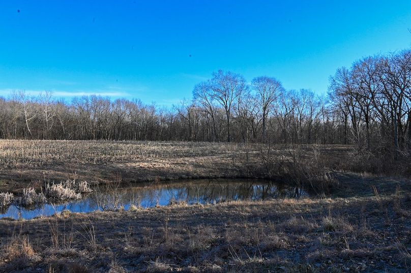 vandalia 450 (2)-2201