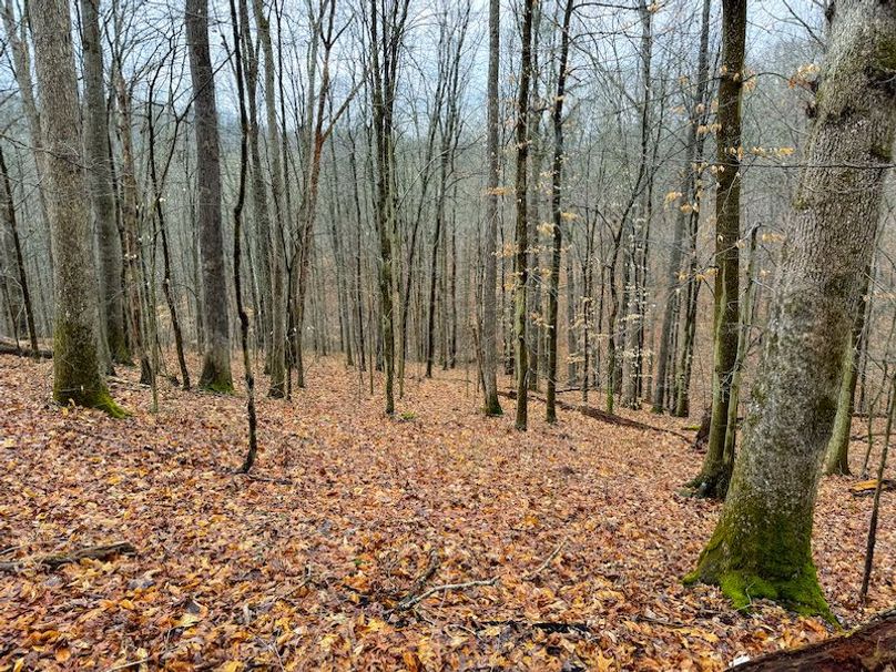 Ritchie, WV 64 AC Hall New Pics-26