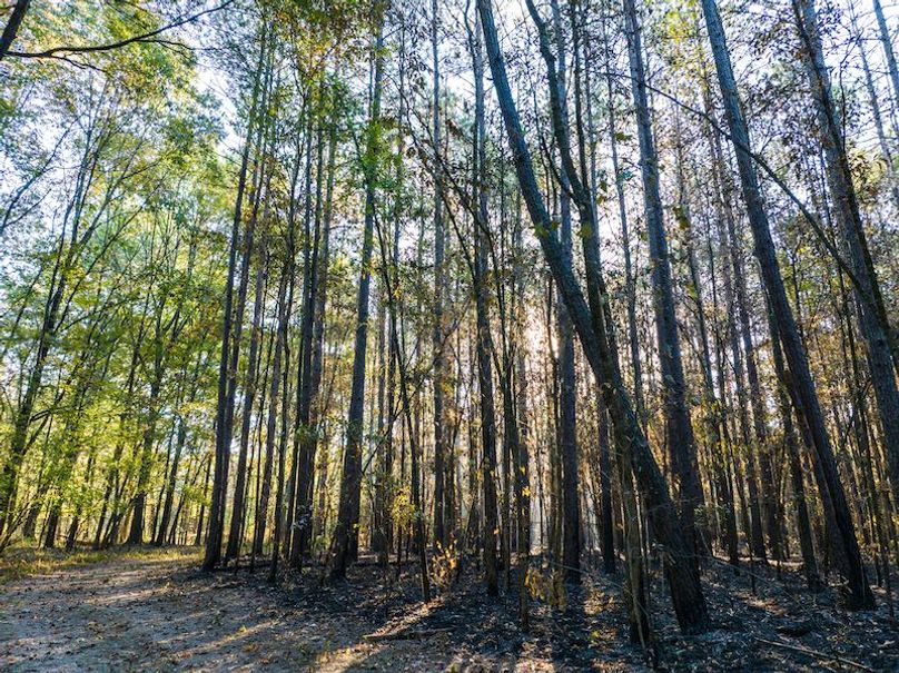 Clay 302.7 Henderson-37