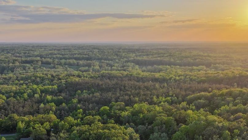 Tallahatchie 44 Newman (Crowden) Wide-58