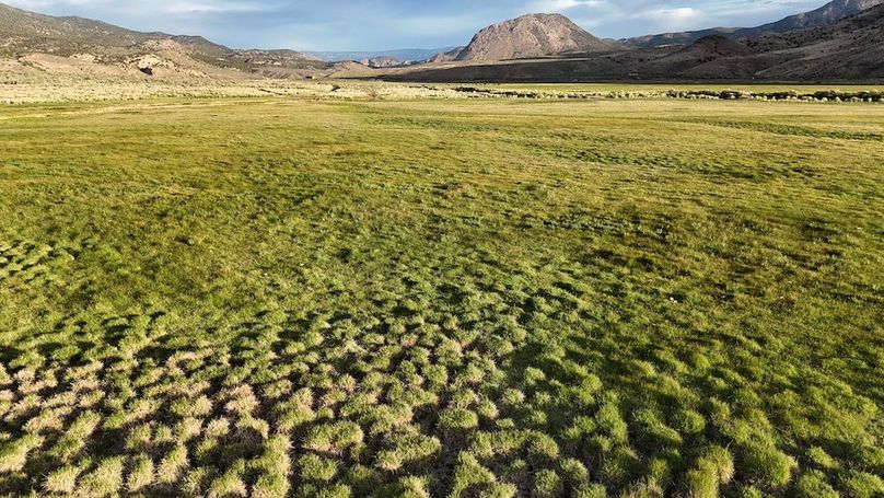 Lucky River Bottom Ranch10